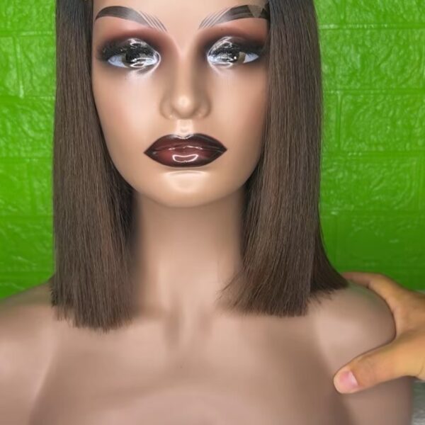 10 inch Vietnamese hair bone straight Bob wig 5*5 lace 1b-4 color